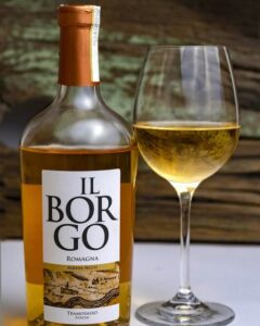 nuovo vino di cantina tramosasso: albana secco romagna il borgo, vino bianco